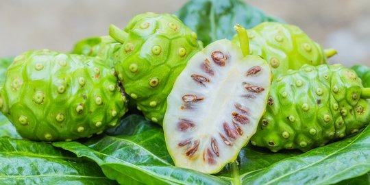 10 manfaat buah mengkudu untuk kesehatan tubuh 65462 1