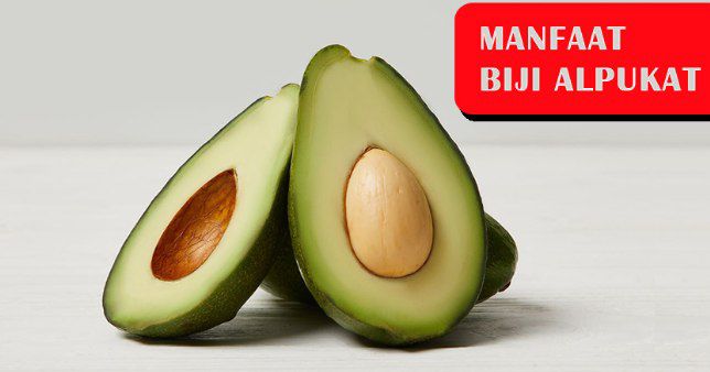4 manfaat biji alpukat bagi kesehatan perhatikan cara pengolahannya 77773