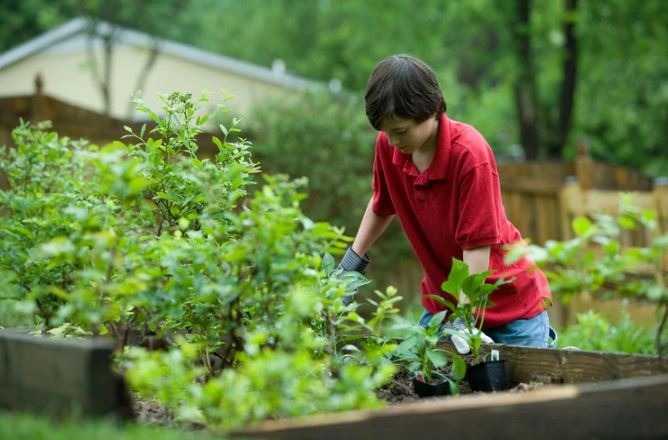 ahli berkebun hingga jalan cepat dapat turunkan risiko diabetes tipe 2 59328 1
