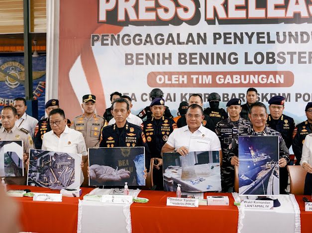 bareskrim polri gagalkan penyelundupan 151 ribu benih lobster di perairan bintan 81507