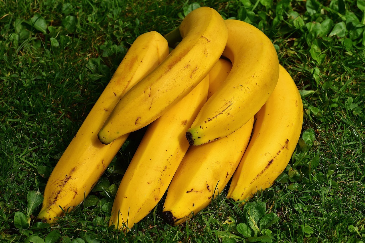 berikut ini manfaat pisang untuk tubuh 53581