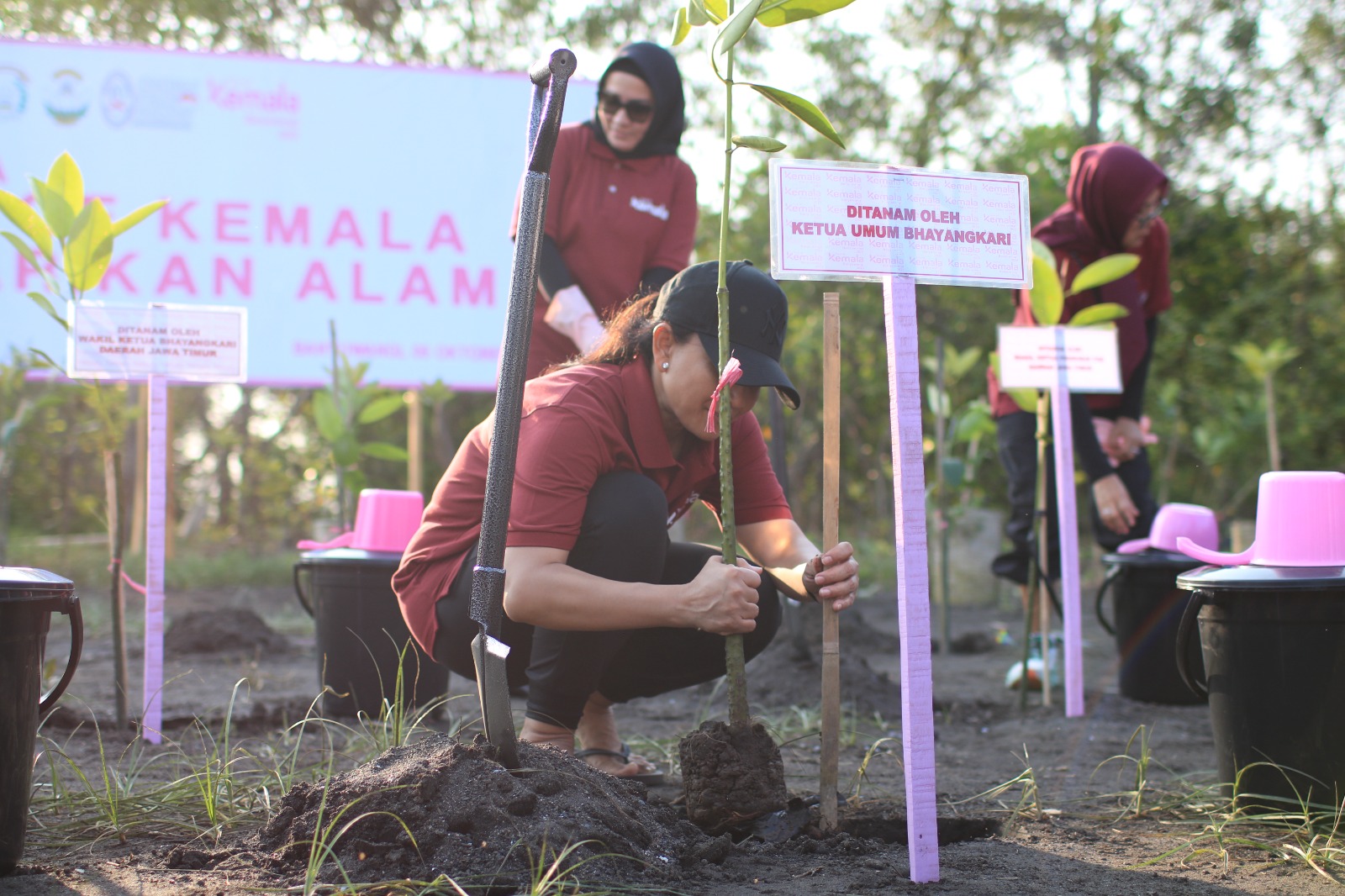 bhayangkari peduli ketua umum bhayangkari melepas 700 tukik dan tanam mangrove di pantai cemara banyuwangi 64483