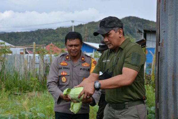 binmas noken polri lakukan program kasuari turun langsung panen sayur di kebun 49637 1