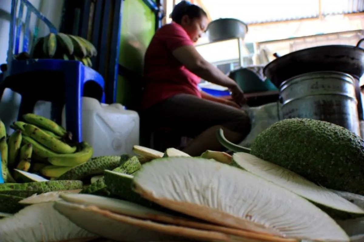 brin buah sukun bisa jadi alternatif pengganti beras 65304