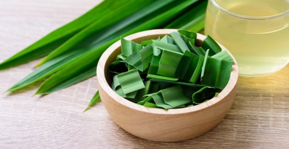 catat ini lima manfaat daun pandan bagi kesehatan 58609