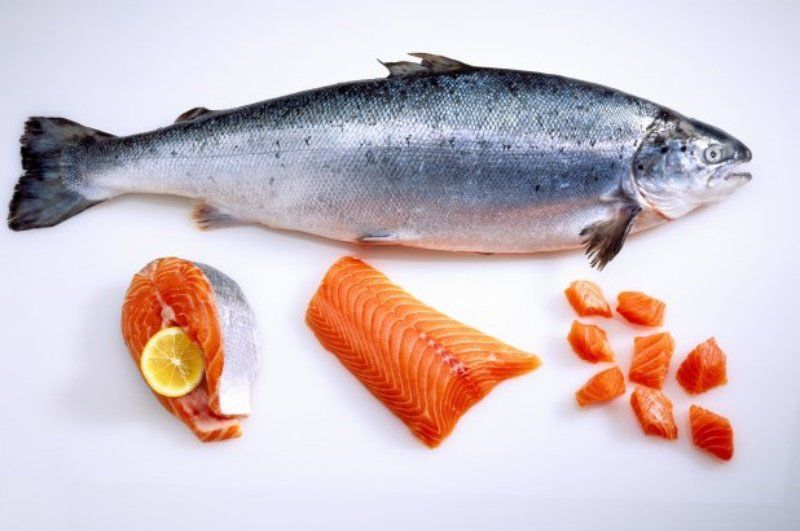 catat ini sederet asupan kaya akan nutrisi bagi penderita arthritis 70078 1