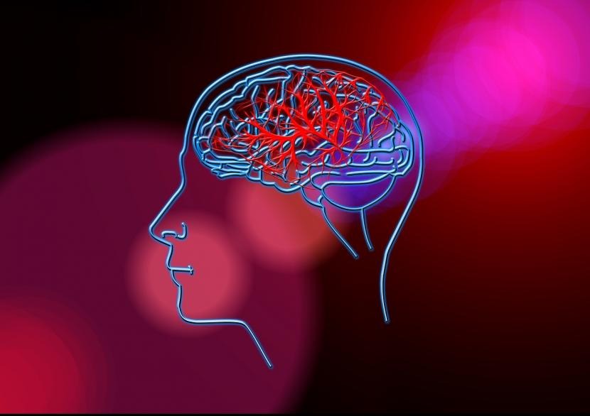 catat makanan ini bisa tingkatkan resiko alami stroke 60479