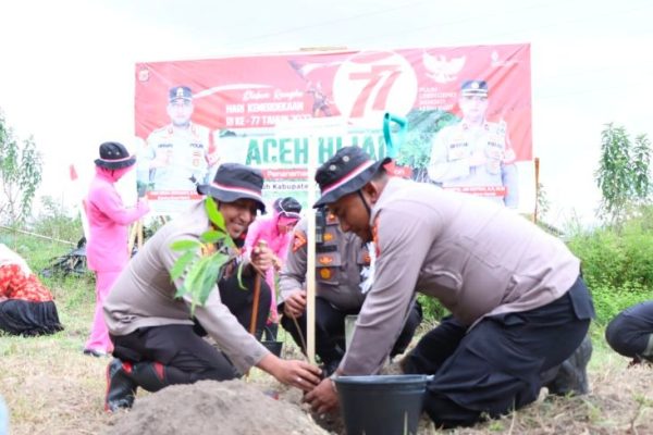 cinta lingkungan 77 000 pohon ditanam untuk program aceh hijau 49181