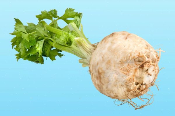 dahsyat ini 5 manfaat akar celeriac bagi kesehatan tubuh 70346
