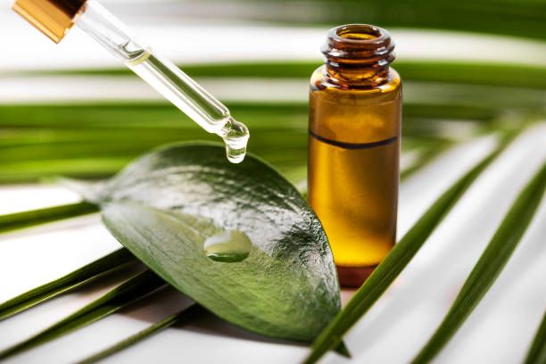 dahsyat ini 9 khasiat tea tree oil bagi kesehatan kulit 67348 1