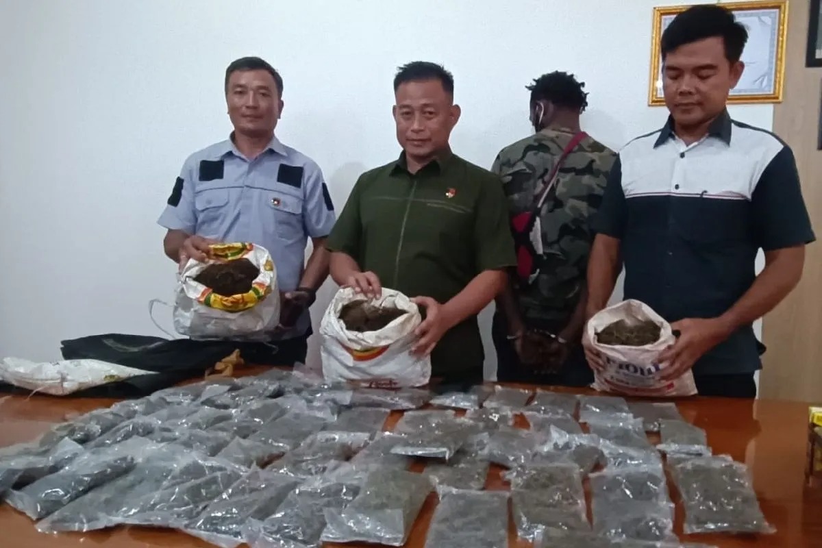 ditresnarkoba papua berhasil menangkap 2 warga png yang membawa narkotika 71677