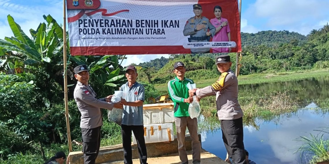dukung ketahanan pangan kapolda kaltara berikan bantuan benih ikan nila dan lele di desa long ampung dan metulang 83427