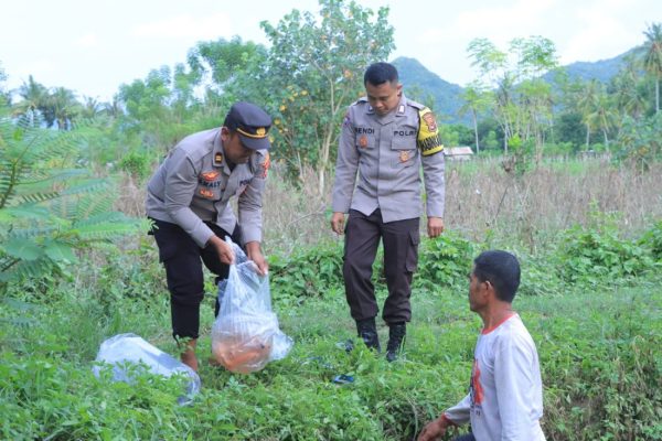 dukung program pemerintah polres sumbawa barat salurkan bantuan 1 000 benih ikan da mujair pada warga 84392 1