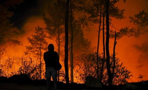 gunung kilimanjaro terbakar dekat kamp pendakian di 4 000 mdpl 50827