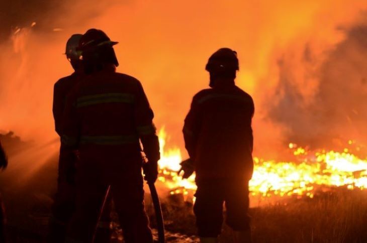 hutan gunung ciremai terbakar petugas siaga kemungkinan kebakaran kembali terjadi 50133