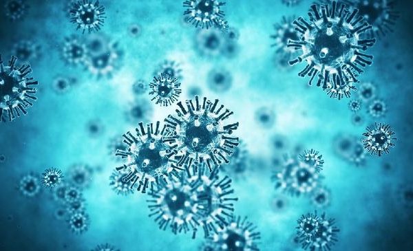 infeksi virus baru langya di china diduga berasal dari hewan 48878