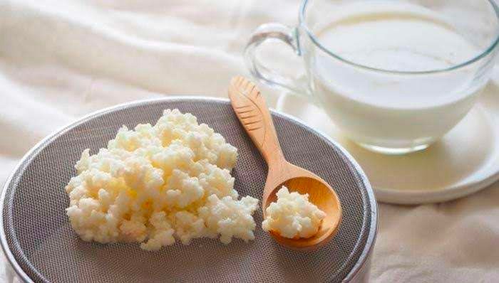 ini 4 makanan fermentasi untuk kesehatan tubuh 55031
