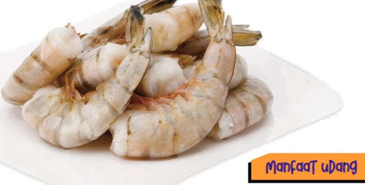 ini lima manfaat makan udang bagi kesehatan 82193