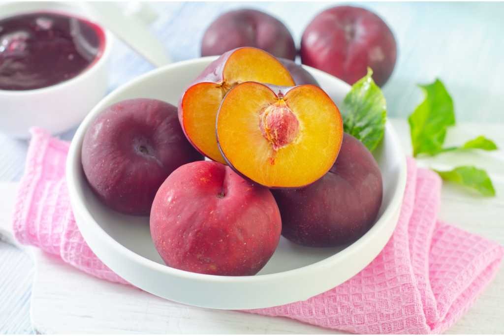 inilah 11 manfaat buah plum untuk kesehatan mata hingga tulang 73236