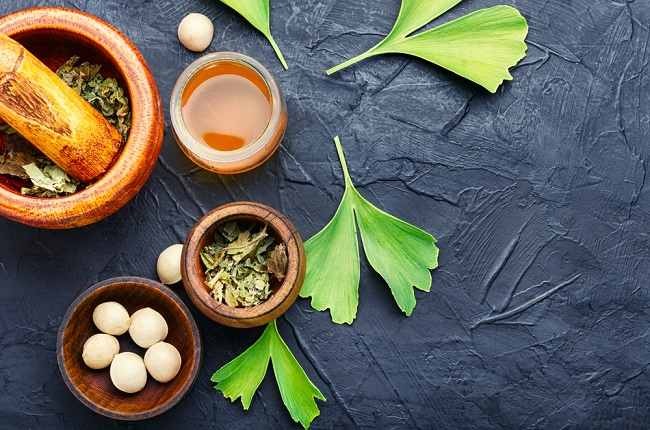 inilah manfaat mengonsumsi gingkgo biloba untuk kesehatan tubuh 67241 1