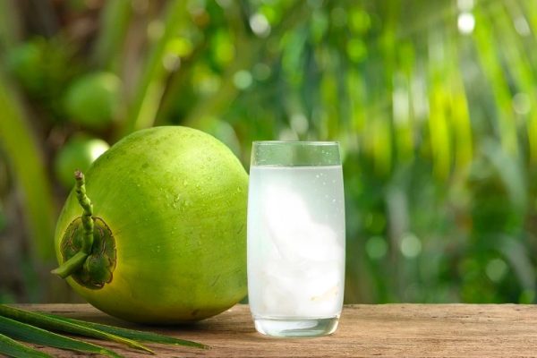 inilah nilai gizi dan manfaat mengonsumsi air kelapa 71254 1