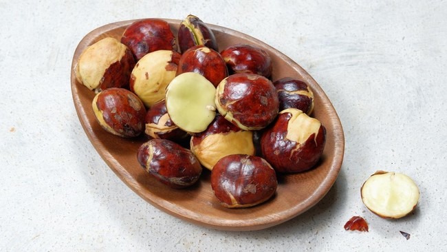 jangan keseringan begini cara jengkol merusak organ ginjal 63632 1