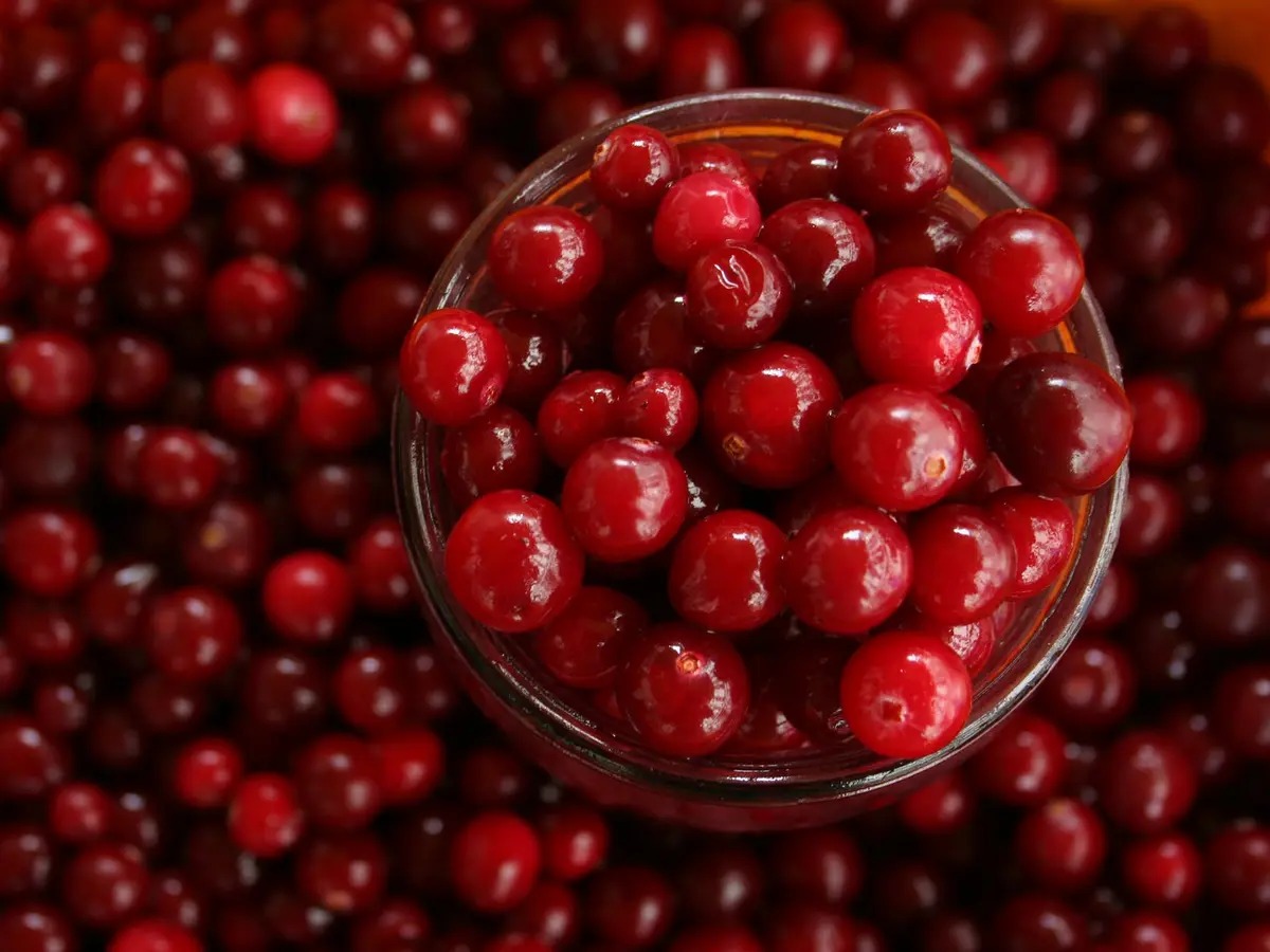 jarang diperhatikan ini sederet khasiat jus cranberry yang baik bagi tubuh 72719 1