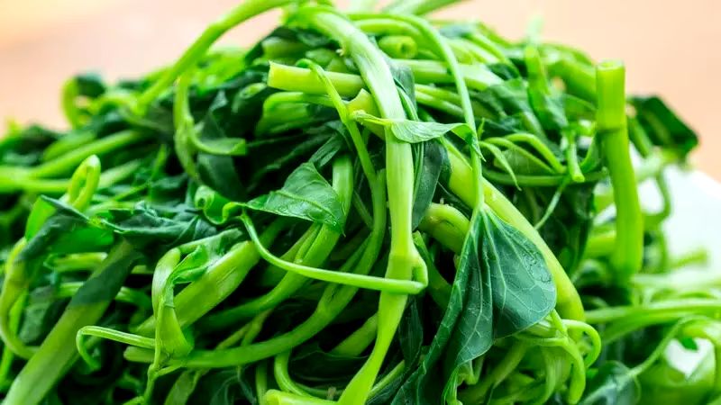 kangkung ini sederet khasiat istimewanya bagi bumil 78870