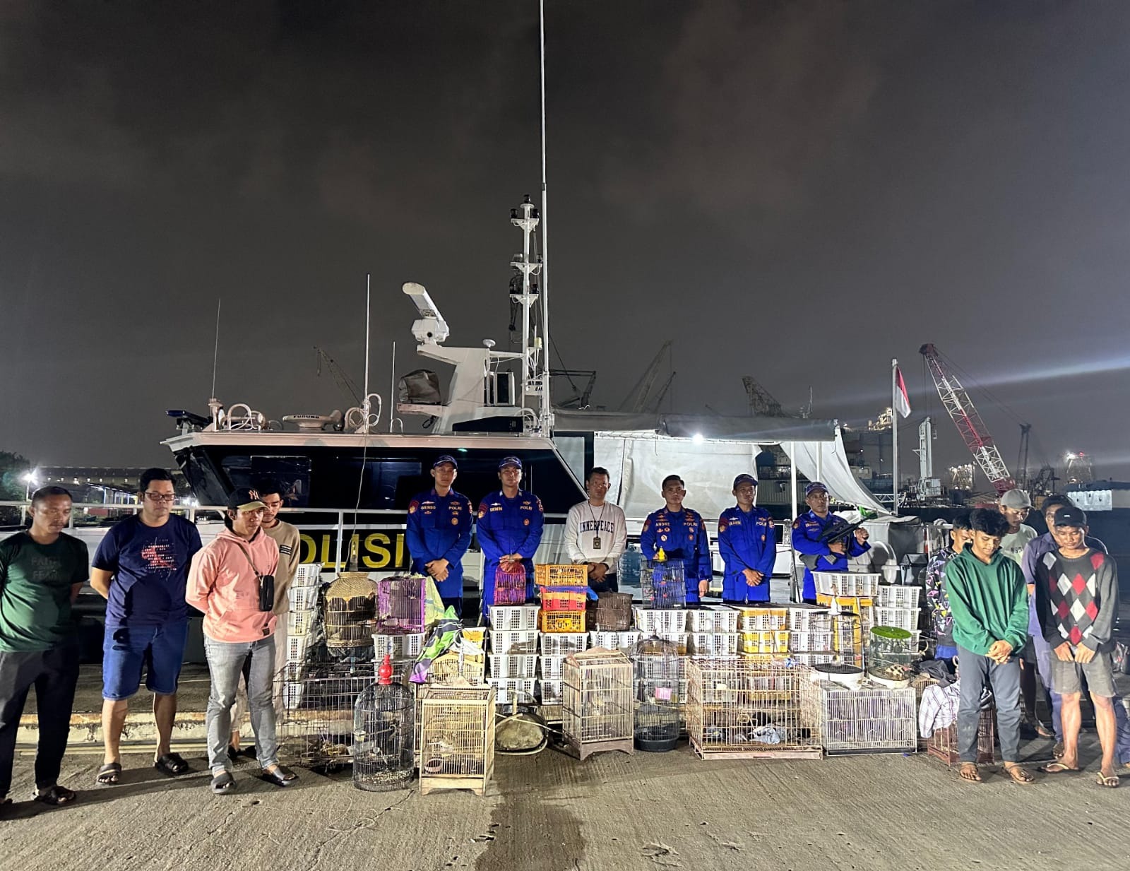 kapal polisi pelatuk 3013 berhasil amankan satwa dilindungi tanpa dokumen di perairan sunda kelapa 77340