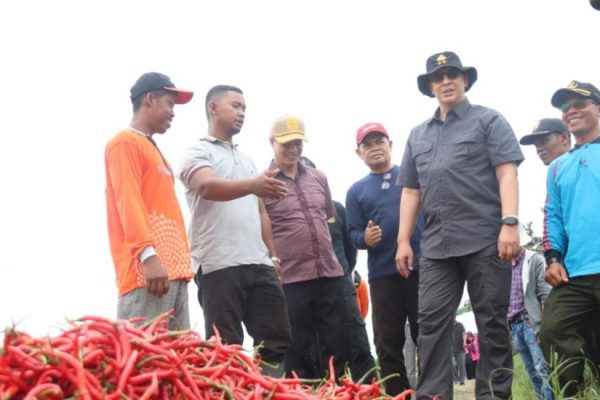 kapolda jambi kunjungi para tani cabai di muaro jambi 49664