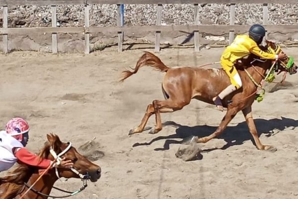 kapolda ntb segera tindak lanjuti dugaan judi di arena pacuan kuda sumbawa 49234