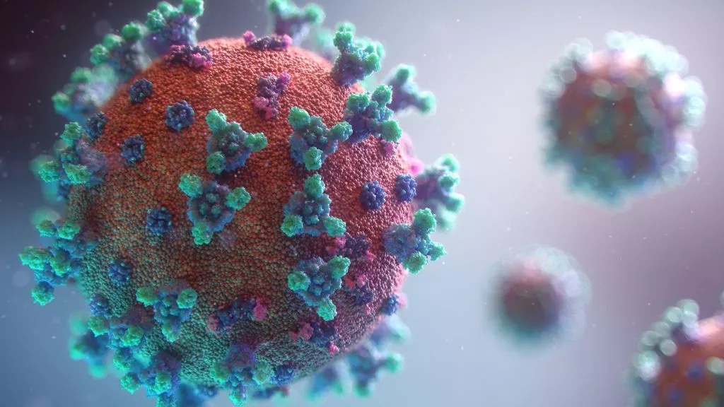 kemenkes belum klasifikasikan subvarian omicron eu 1 1 sebagai virus yang perlu diwaspadai 60606