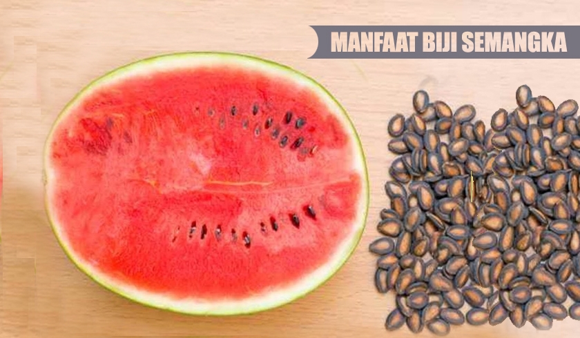 lima biji buah buahan ini bermanfaat bagi kesehatan 73530