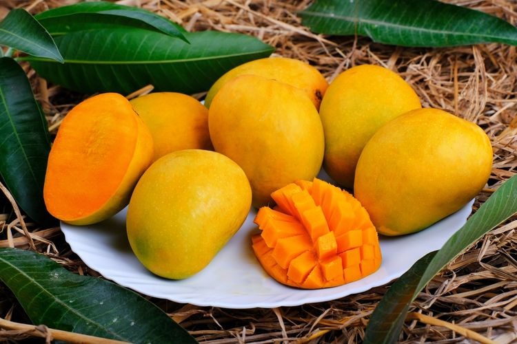 luar biasa inilah manfaat mengonsumsi mangga saat buka puasa 57029