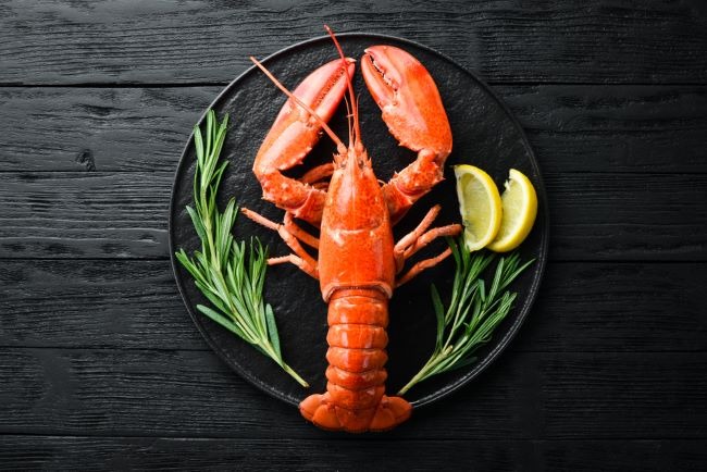 manfaat lobster untuk kesehatan tubuh apa saja 64166