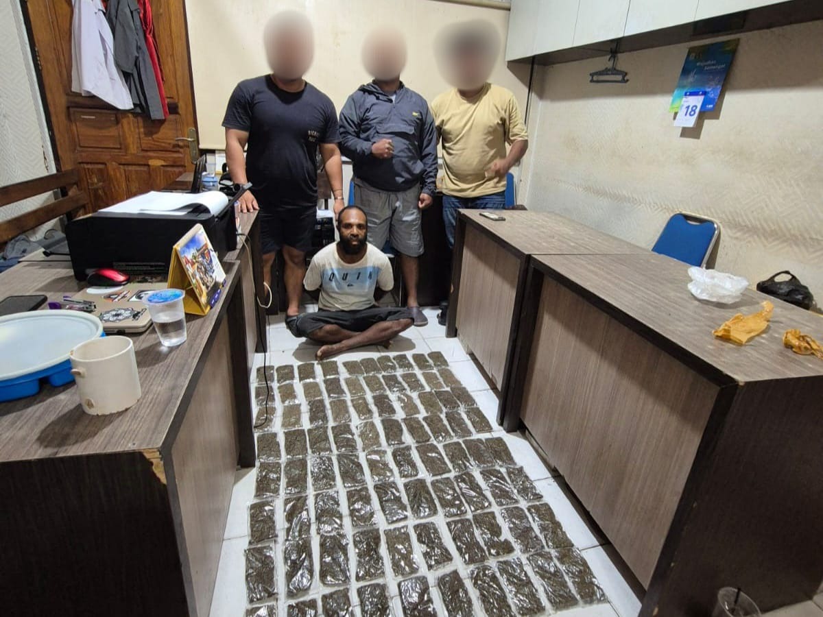 membawa ganja seorang wna diamankan oleh tim opsnal narkoba polresta jayapura kota 81100 1