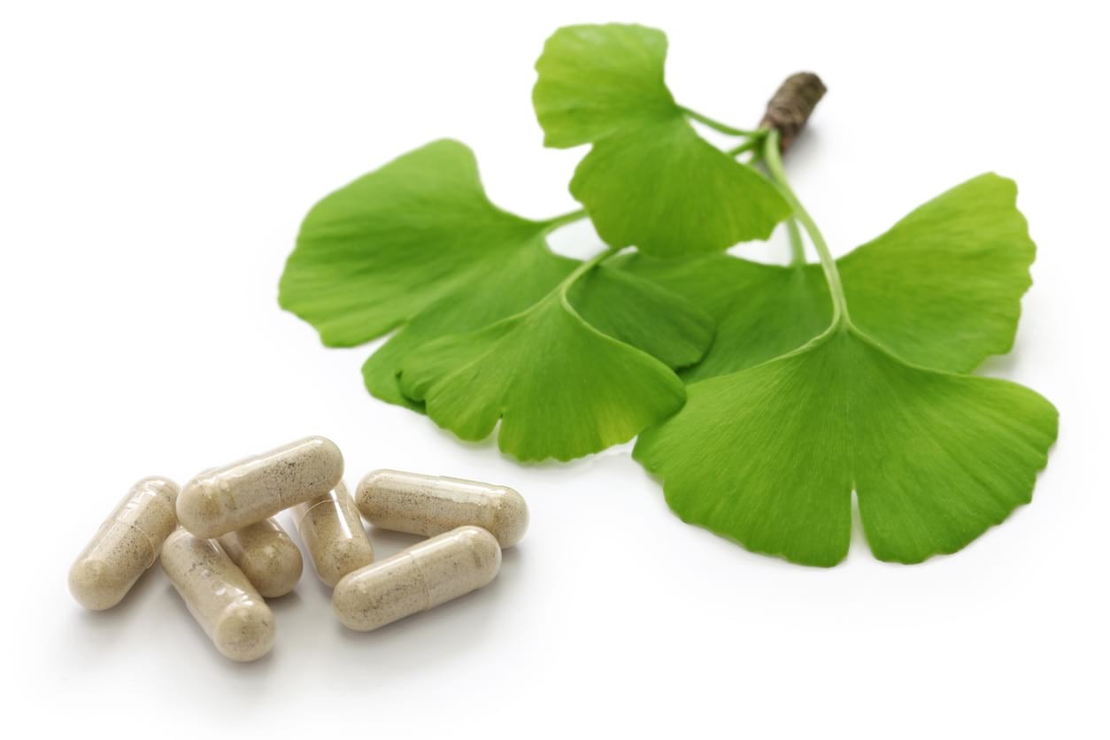mengenal manfaat ginkgo biloba untuk kesehatan 63736