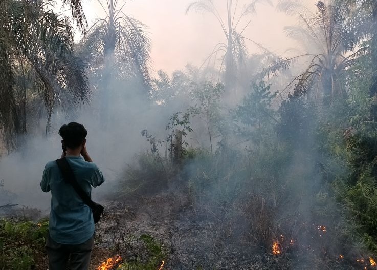 musim kemarau polda riau antisipasi ancaman karhutla 54419