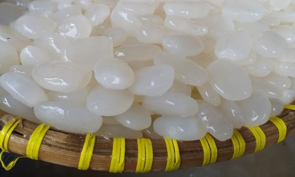 penuh nutrisi inilah manfaat kolang kaling untuk kesehatan 56597