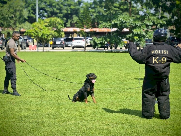 perkuat kesiapan operasional unit satwa polda ntt gelar latihan k9 di mapolda ntt 84066