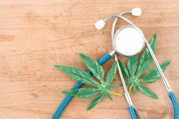 perlu kajian mendalam legalisasi ganja medis 48045