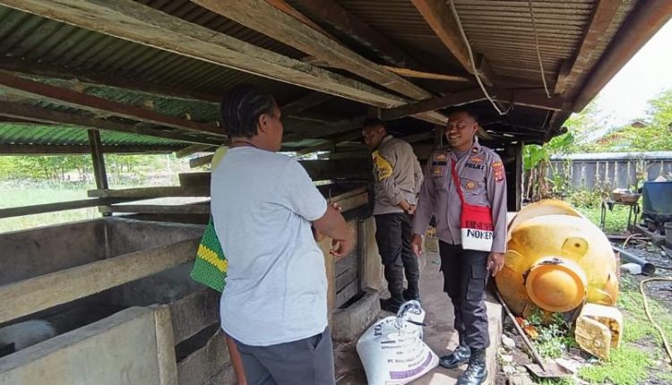 personel binmas noken terus gencarkan kegiatan kasuari 52432