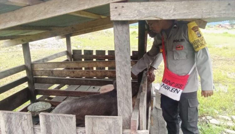 personel binmas noken terus gencarkan program kasuari 52656