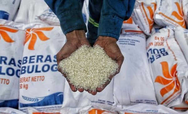perum bulog jamin stok bahan pokok di maluku aman hingga lebaran 55318