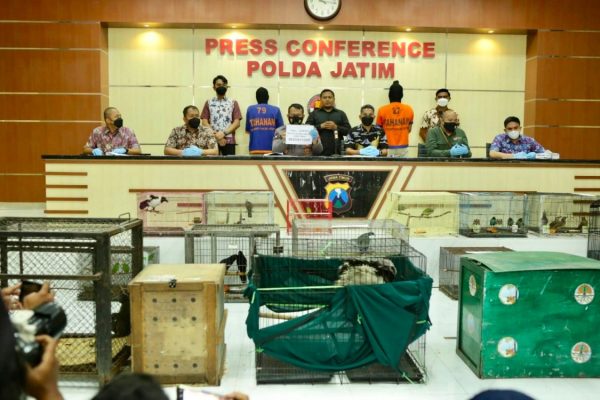 polda jatim bongkar praktik jual beli satwa dilindungi 49253