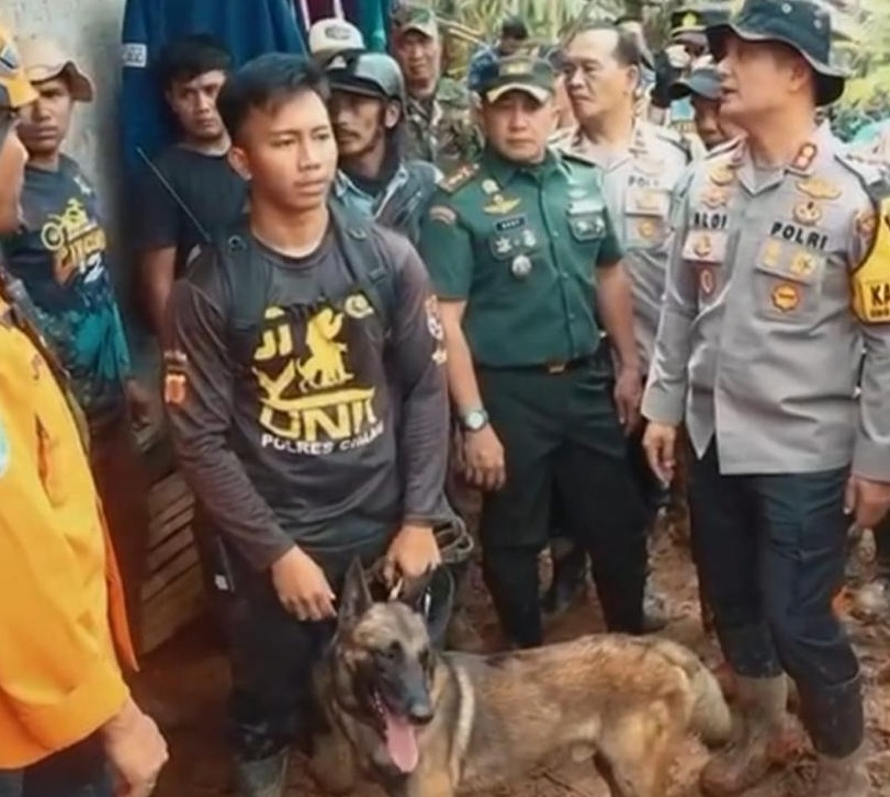 polda jawa barat kerahkan anjing pelacak cari korban longsor di bandung barat 71819