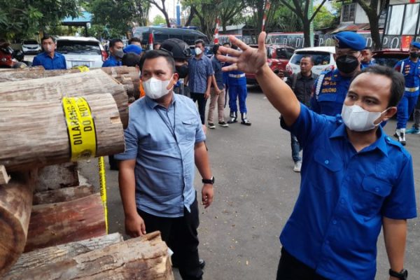 polda kalsel gagalkan penyelundupan 394 batang kayu ilegal di perairan sungai alalak 48909