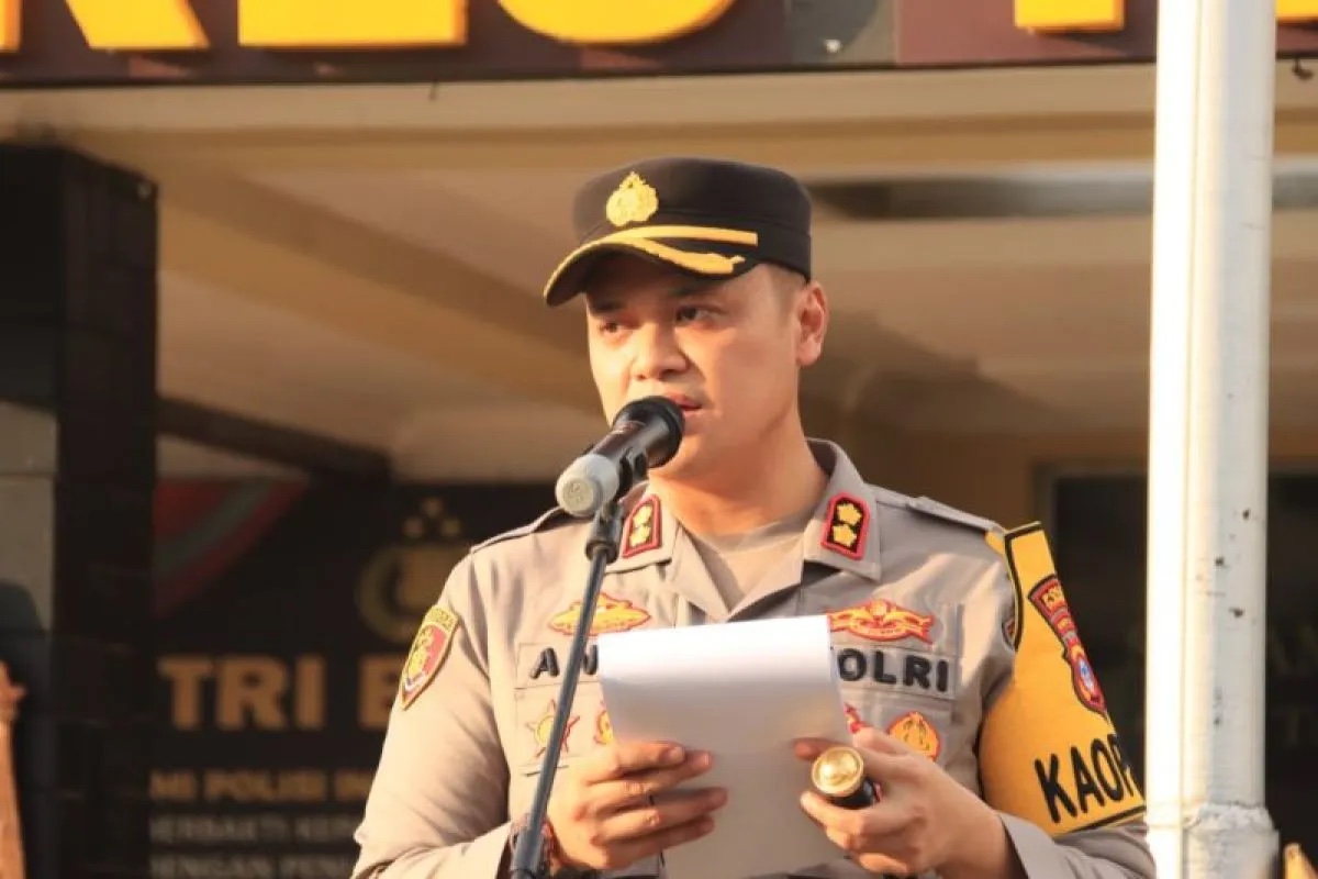 polda kalsel sita 60 batang kayu ulin ilegal di tabalong 68394