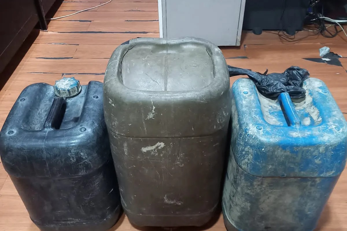 polda kepri ungkap penyelundupan 5 500 ekor benur lobster ke singapura 61562