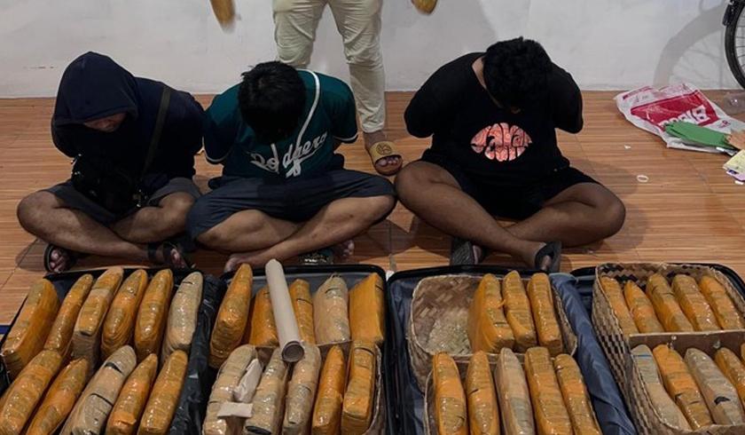 polda metro jaya berhasil ringkus pengedar narkoba di jaktim dan barang bukti 41 kilogram ganja 79135